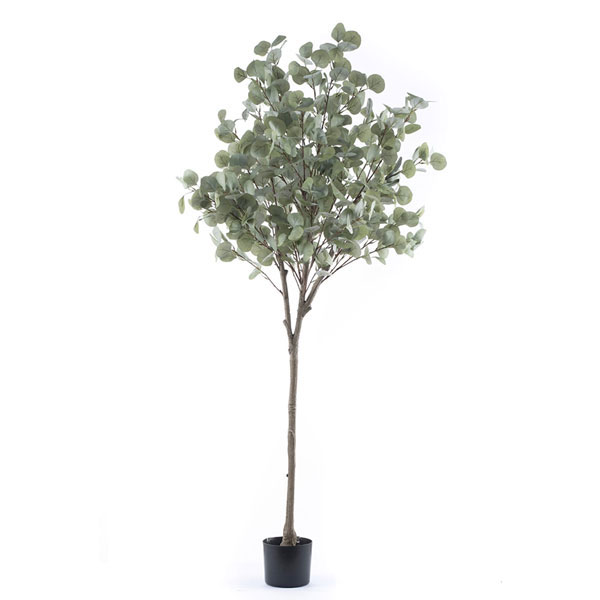 Eucalyptus Tree R2100 - EasyIvy Foliage