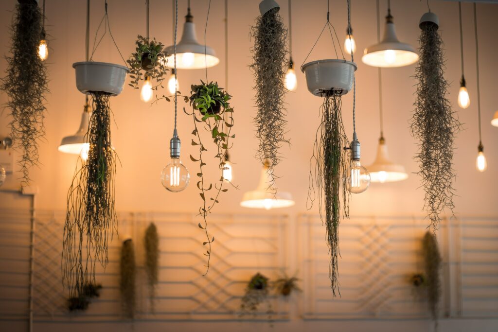 Artificial indoor plants hung with light bulbs