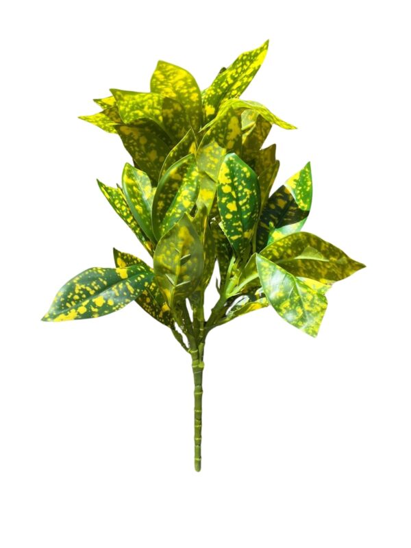 Spotted Leaf