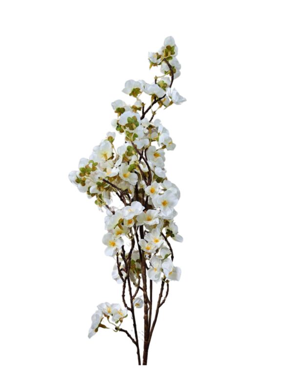 Cherry Blossom Branch