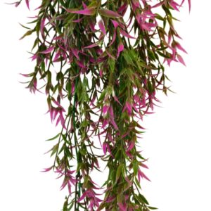 Purple Lace Vine