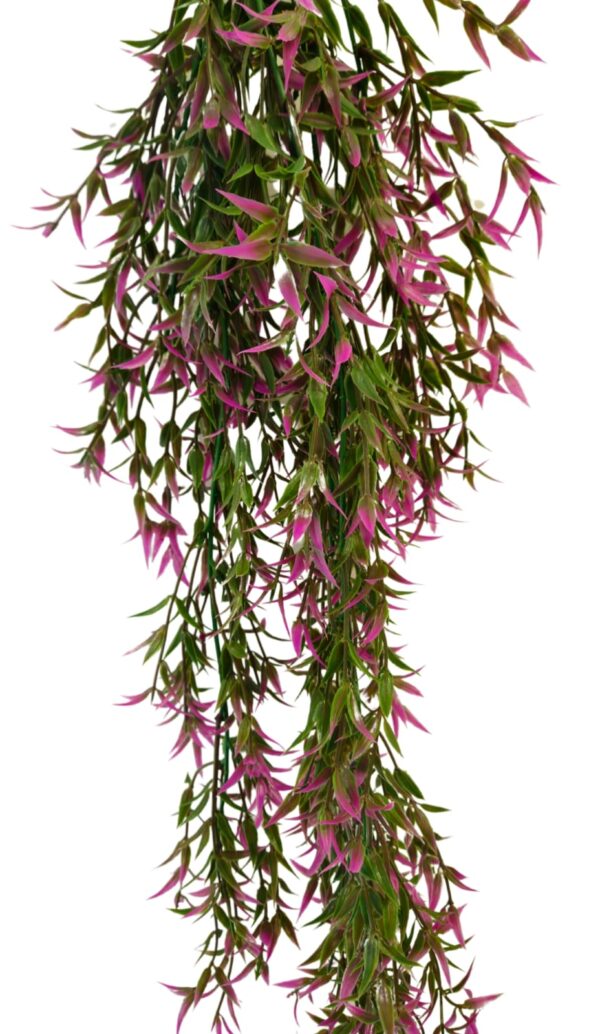 Purple Lace Vine