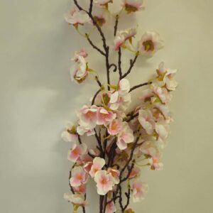 Pink Cherry Blossom Branch