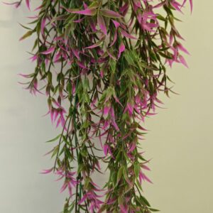 Purple Lace Vine