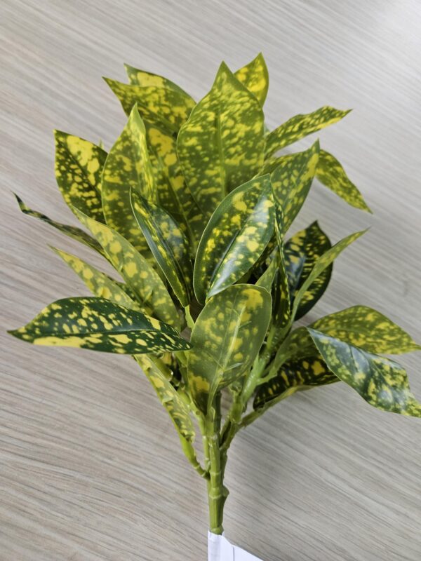 Spotted Leaf