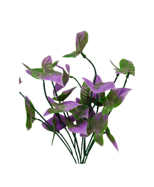 Purple Stem