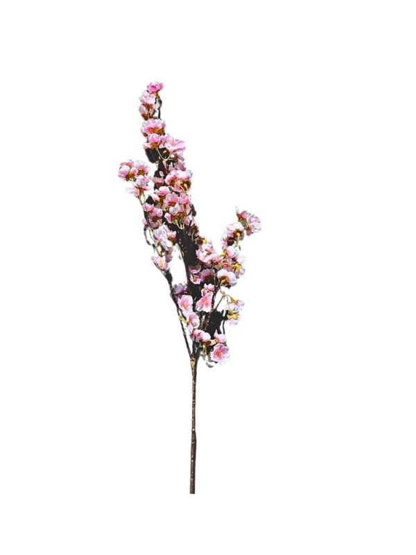 Cherry Blossom Branch - Image 2