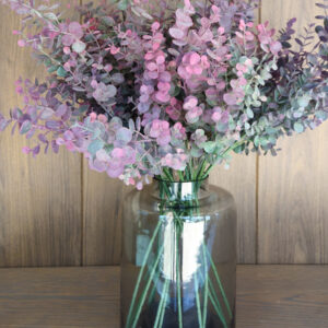 Eucalyptus Blush